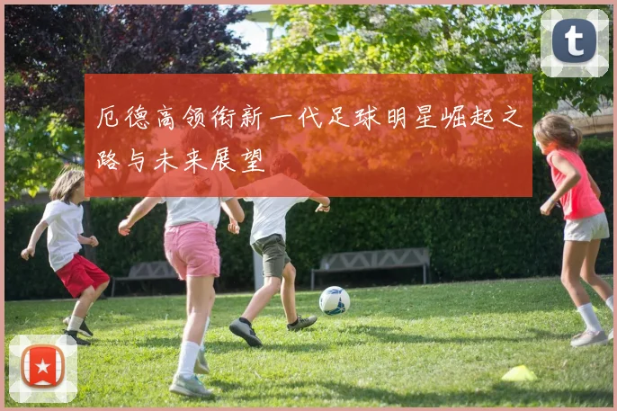 厄德高领衔新一代足球明星崛起之路与未来展望
