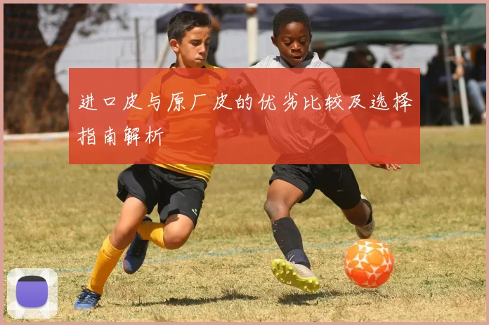 进口皮与原厂皮的优劣比较及选择指南解析