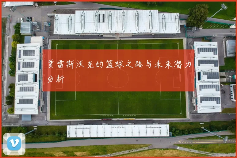 贾雷斯沃克的篮球之路与未来潜力分析